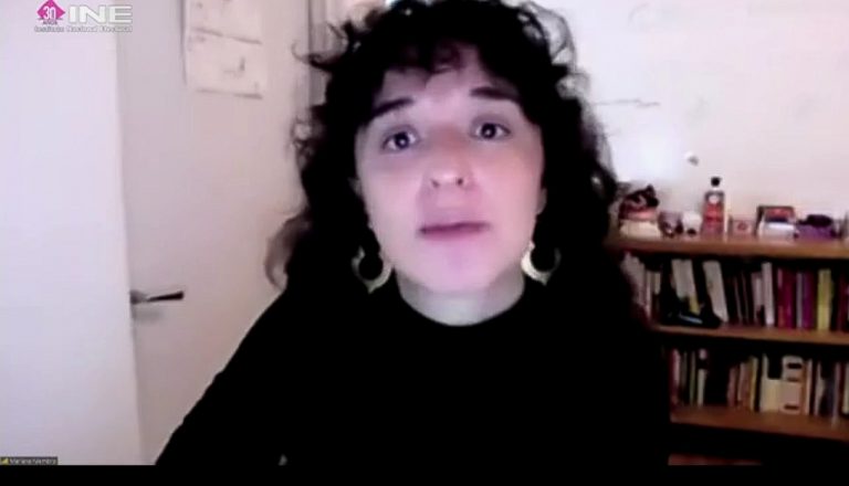 Mariana Niembro, Borde Político, A.C.