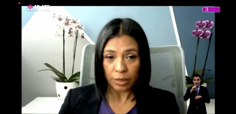 Norma Irene De La Cruz Magaña, Consejera Electoral.