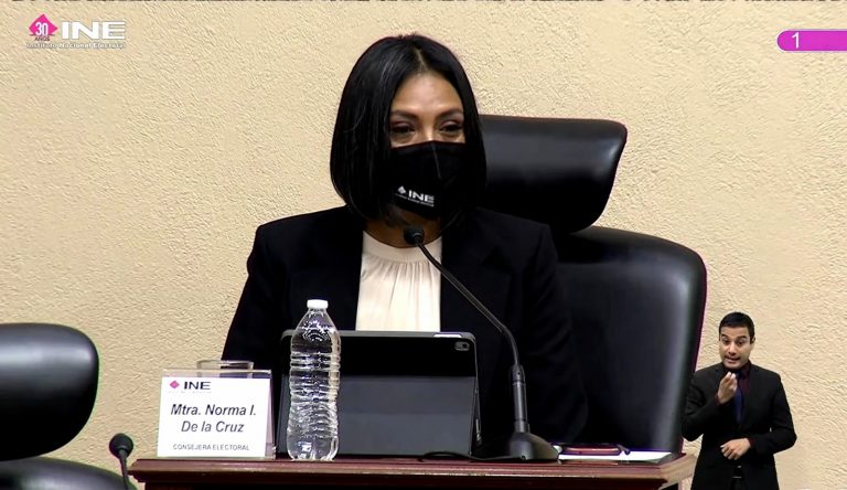 Martín Faz Mora, Consejero Electoral.