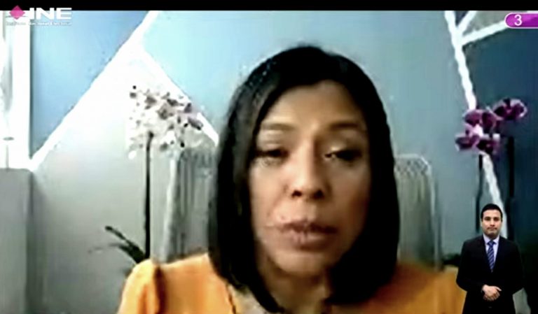 Norma Irene De La Cruz Magaña, Consejera Electoral.