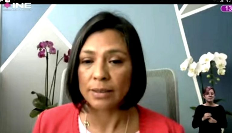 Norma Irene De La Cruz Magaña, Consejera Electoral