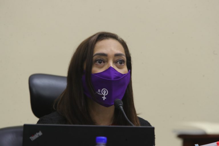 Adriana Favela Herrera, Consejera Electoral.