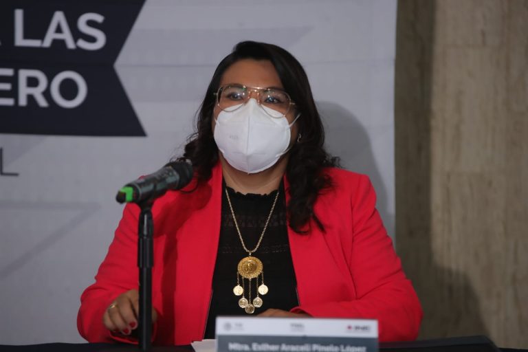 Esther Araceli Pinelo López, Fiscal Especializada en Materia de Delitos Electorales.