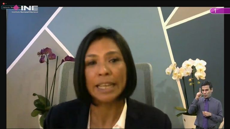 Norma Irene De La Cruz Magaña, Consejera Electoral.