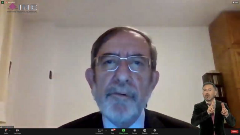 Philip Dimitrov, Vicepresidente de la Comisión de Venecia.