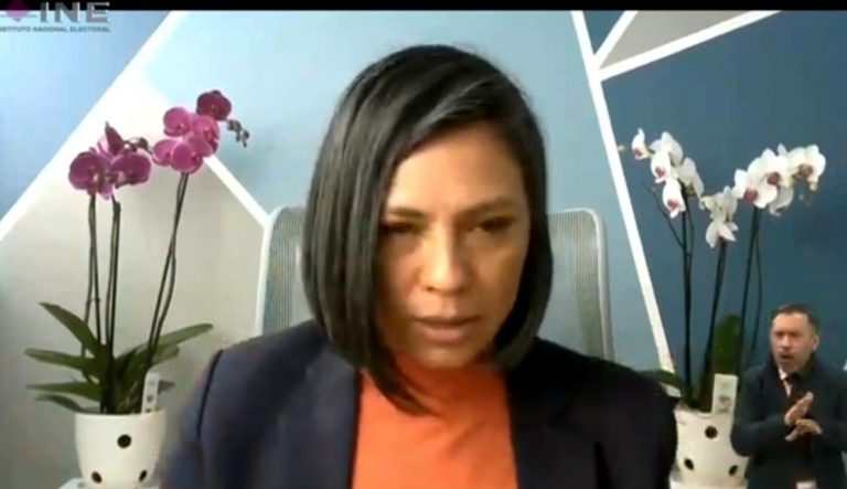 Norma Irene De La Cruz Magaña, Consejera Electoral.