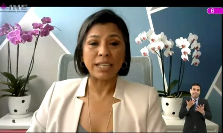 Norma Irene de la Cruz Magaña, Consejera Electoral.