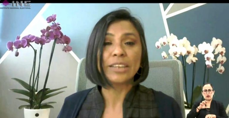 Norma Irene De La Cruz, Consejera Electoral del INE.