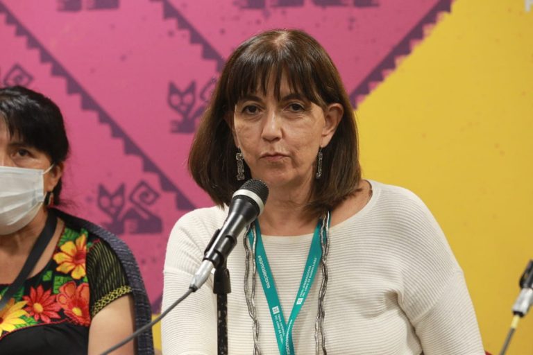 Teresa Vicencio Álvarez, Directora del INBA.