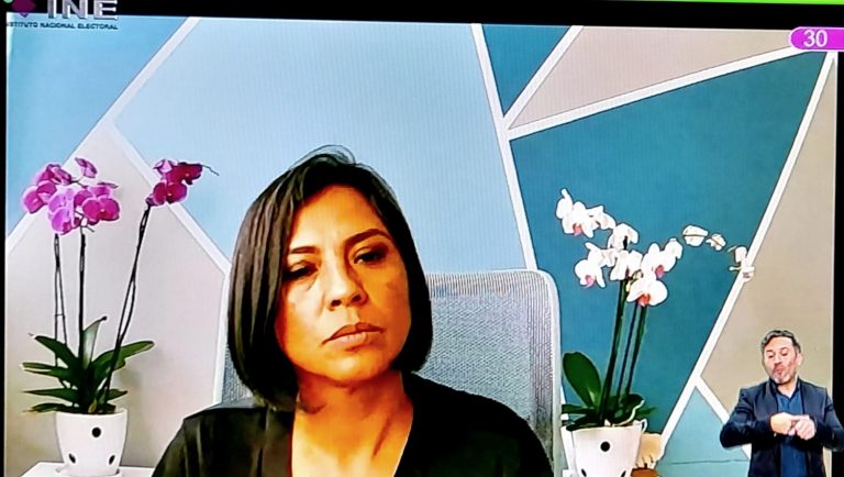 Norma Irene De La Cruz Magaña, Consejera Electoral.