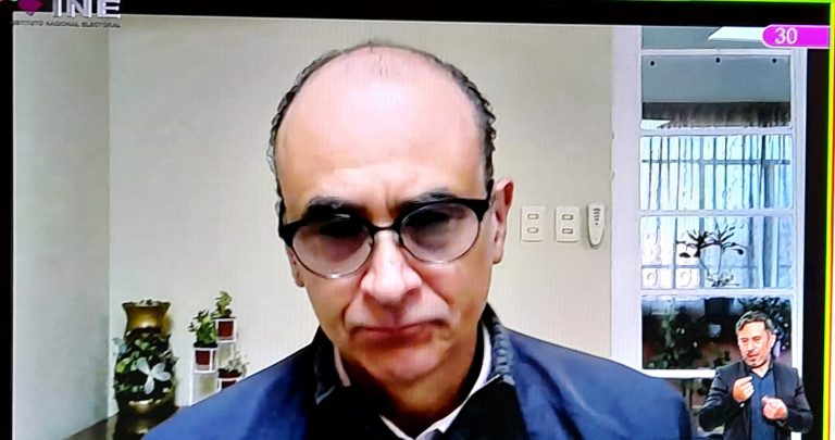 Martín Faz Mora, Consejera Electoral.