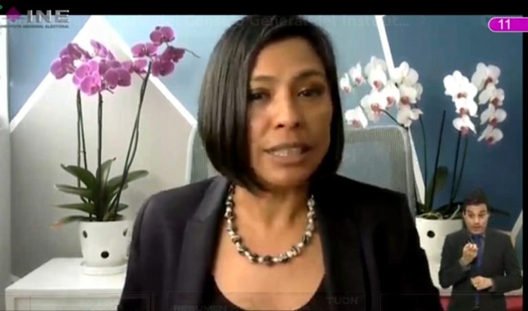 Norma Irene De la Cruz Magaña, Consejera Electoral.