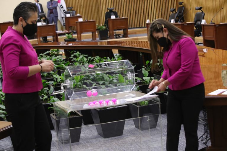 Sorteo del mes que será tomado como base para la insaculación de la ciudadanía que integrará las Mesas Directivas de Casilla en el eventual Proceso de Revocación de Mandato 2022 para el Presidente de la República electo para el periodo constitucional 2018- 2024.