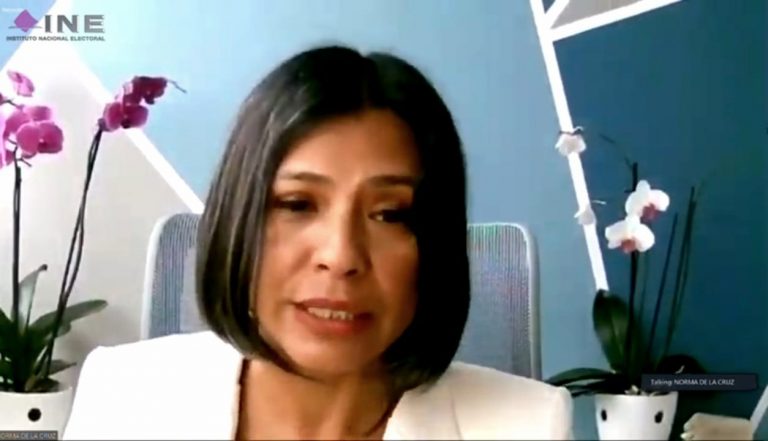 Norma Irene De La Cruz Magaña, Consejera Electoral del INE.