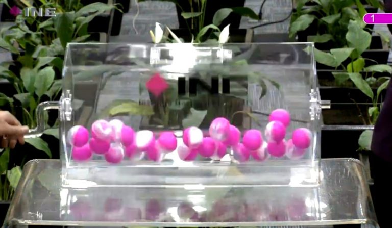 Sorteo de la letra, a partir de la cual, con base en el primer apellido, se seleccionará a las y los ciudadanos que integrarán las Mesas Directivas de Casilla en el Proceso Electoral Local 2021-2022.