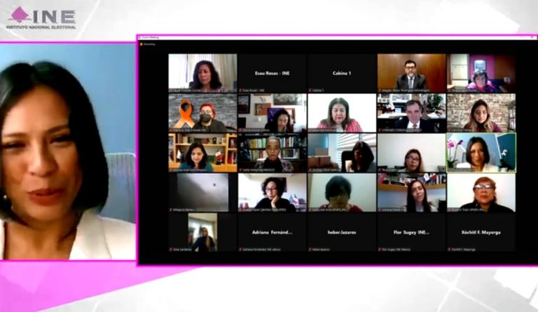 Norma Irene De La Cruz Magaña, Consejera Electoral del INE.