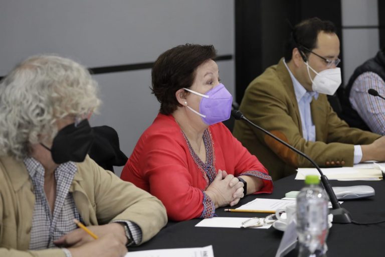 Sesión de instalación del Comité Técnico Asesor de los Conteos Rápidos 2022.