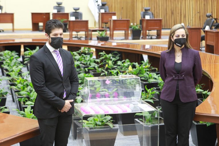 Sorteo de la letra, a partir de la cual, con base en el primer apellido, se seleccionará a las y los ciudadanos que integrarán las Mesas Directivas de Casilla en el Proceso Electoral Local 2021-2022.