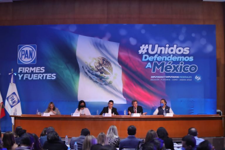 Reunión Plenaria del PAN.