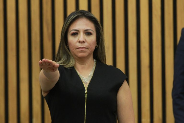 Marisol Vargas Barcenas como representante suplente del PAN.