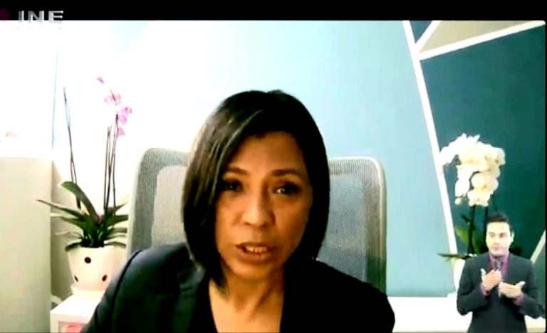 Norma Irene De la Cruz Magaña, Consejera Electoral del INE.