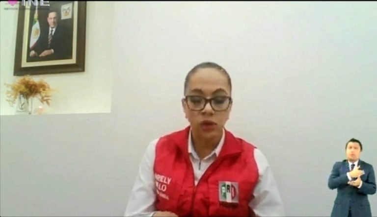 Arely Melo, Representante del  PRI.