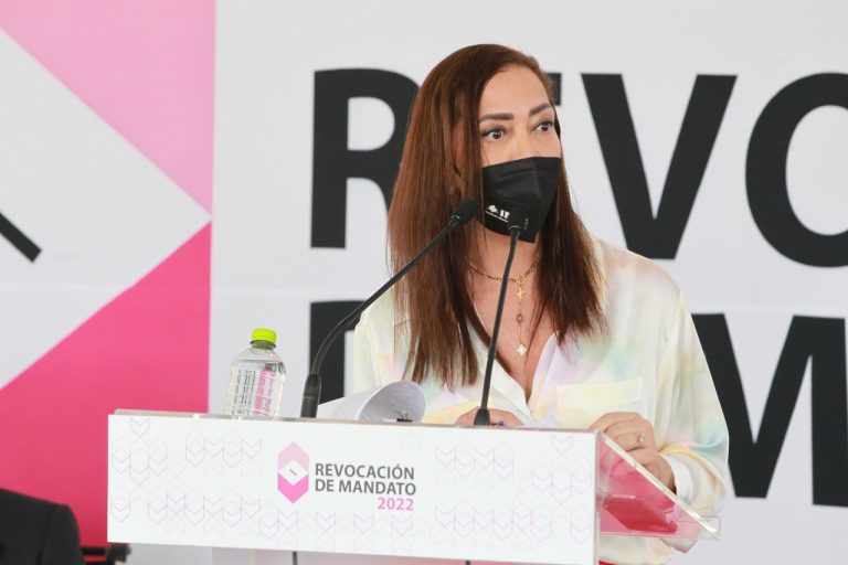 Adriana Favela Herrera, Consejera Electoral