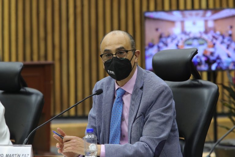 Martín Faz Mora, Consejero Electoral