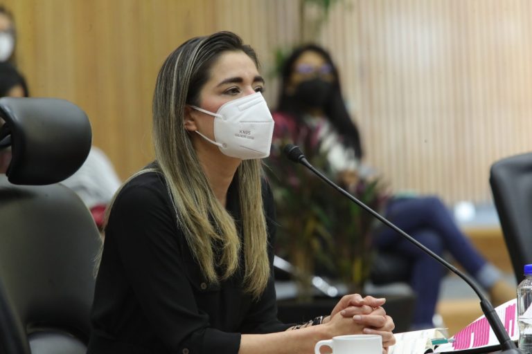 Dania Ravel Cuevas, Consejera Electoral.