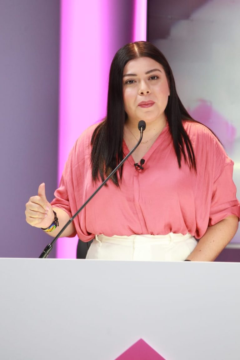 Lizette Vázquez, Que Siga  la Democracia A.C.