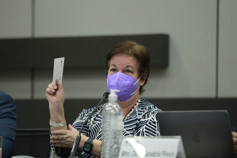 Patricia Romero Mares, Integrante de comité técnico para el contéo rápido.