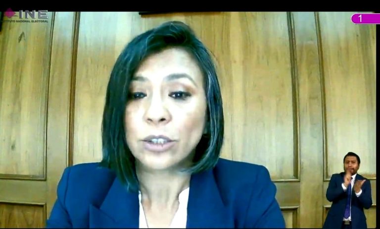 Norma Irene de la Cruz, Consejera Electoral