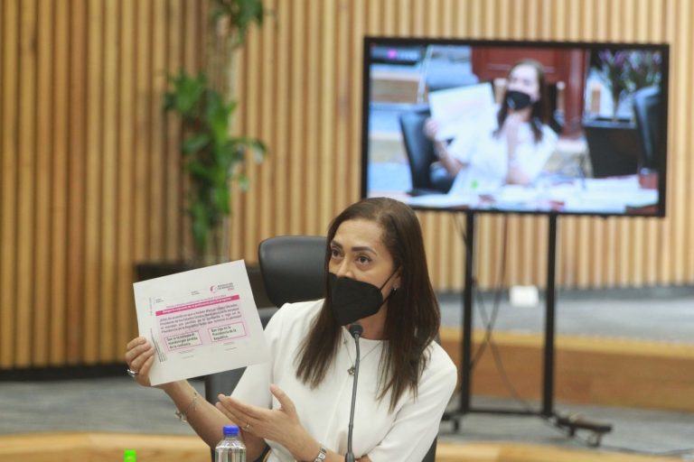 Adriana Favela Herrera, Consejera Electoral