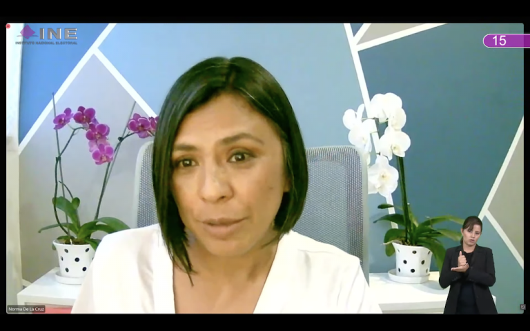 Norma Irene De La Cruz Magaña, Consejera Electoral.