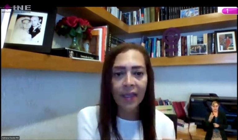 Adriana Favela Herrera, Consejera Electoral