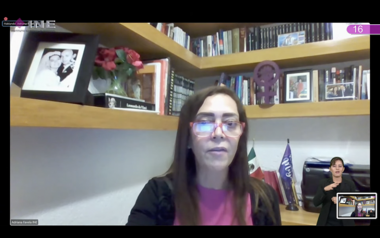 Adriana Favela Herrera, Consejera Electoral