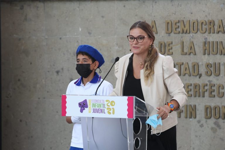 Cecilia Patrón Laviada, Representante del PAN.