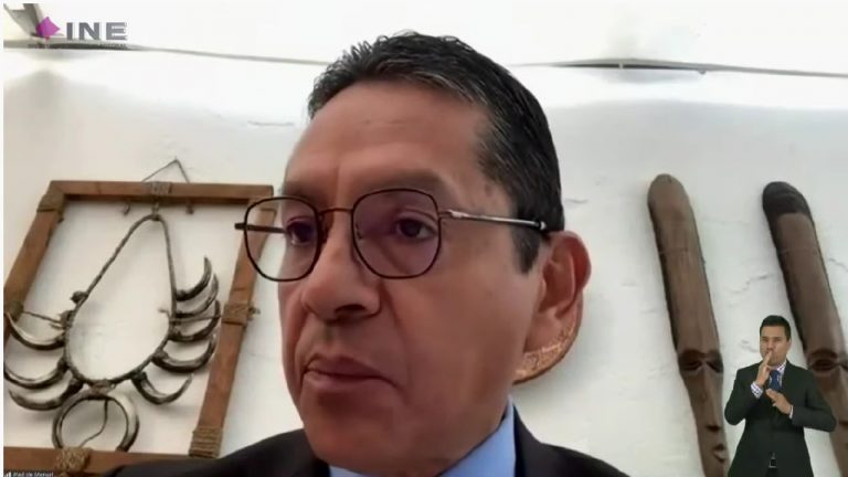 Manuel Carrillo Poblano, Coordinador de Asuntos Internacionales del INE.