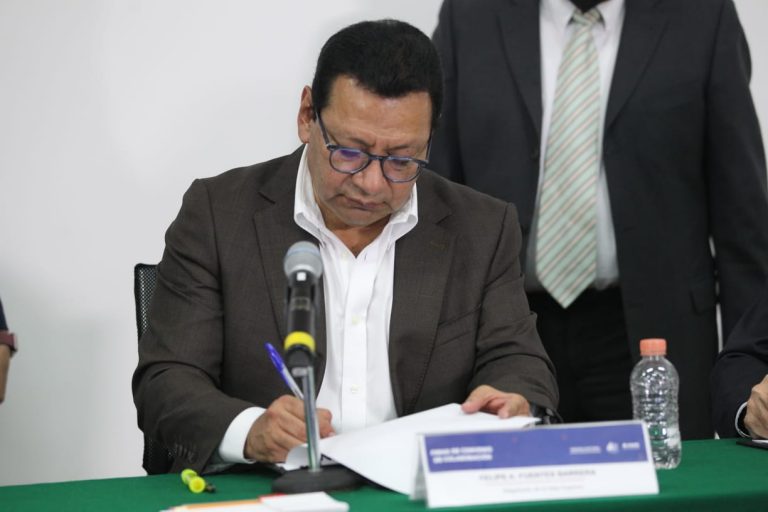 Felipe Alfredo Fuentes Barrera, Magistrado de la Sala Superiro del TEPJF.