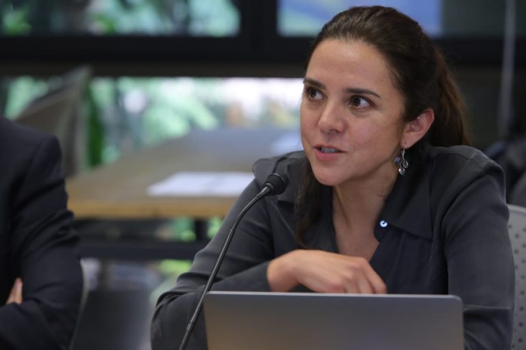 Andrea Pozas Loyo, investigadora.