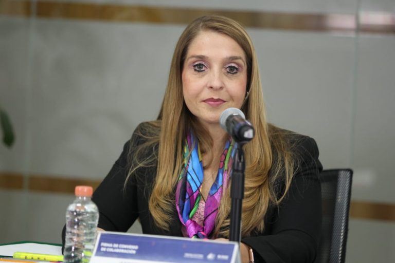 Gabriela Ruvalcaba García, Directora de la Escuela Jurídica Electoral.