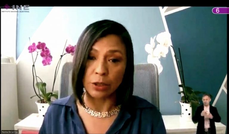 Norma Irene de la Cruz Magaña, Consejera Electoral.