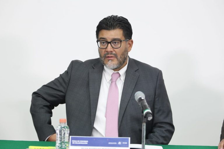 Reyes Rodríguez Mondragón, Magistrado Presidente de la Sala Superior del TEPJF.