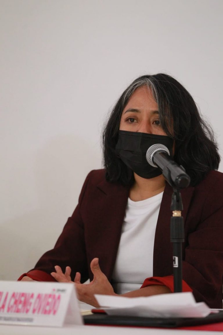 Marcela Cheng Oviedo, Integrante del Comité Técnico para el Seguimiento y Evaluación de los Trabajos de Distritación Nacional.