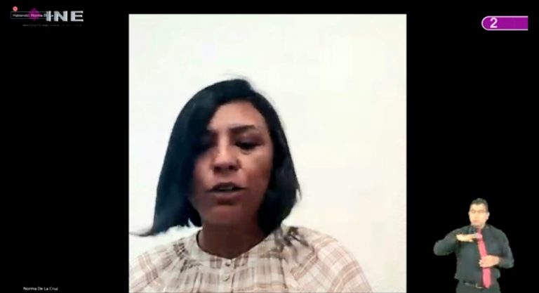 Norma Irene De La Cruz Magaña, Consejero Eletcoral.
