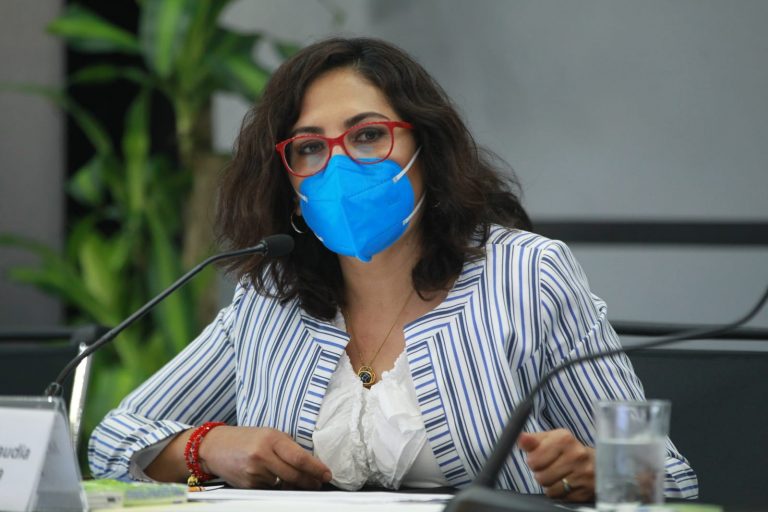 Claudia Zavala Pérez, Consejera Electoral en la Presentación del Sistema Candidatas y Candidatos, Conóceles para los procesos electorales locales 2021-2022.