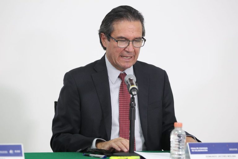 Edmundo Jacobo Molina, Secretario Ejecutivo del INE.