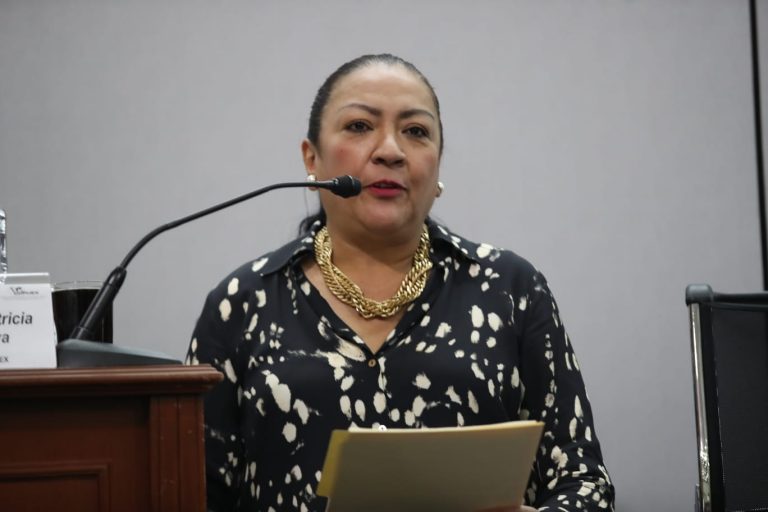 Patricia Nava Muñoz COPUEX.