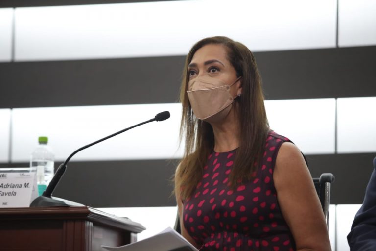 Adriana Favela Herrera, Consejera Electoral del INE.