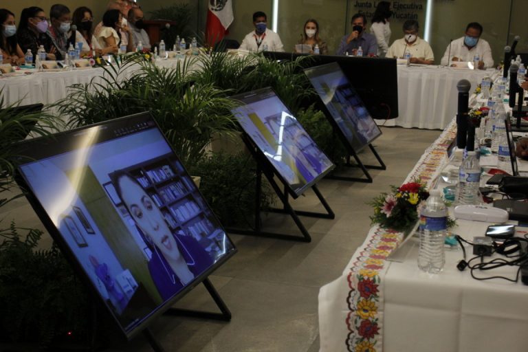 Participación  Virtual en la Reunión de Vocales de Organización Electoral de la Consejera Claudia Zavala Pérez